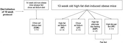 Health Effects of Alternate Day Fasting Versus Pair-Fed Caloric Restriction in Diet-Induced Obese C57Bl/6J Male Mice